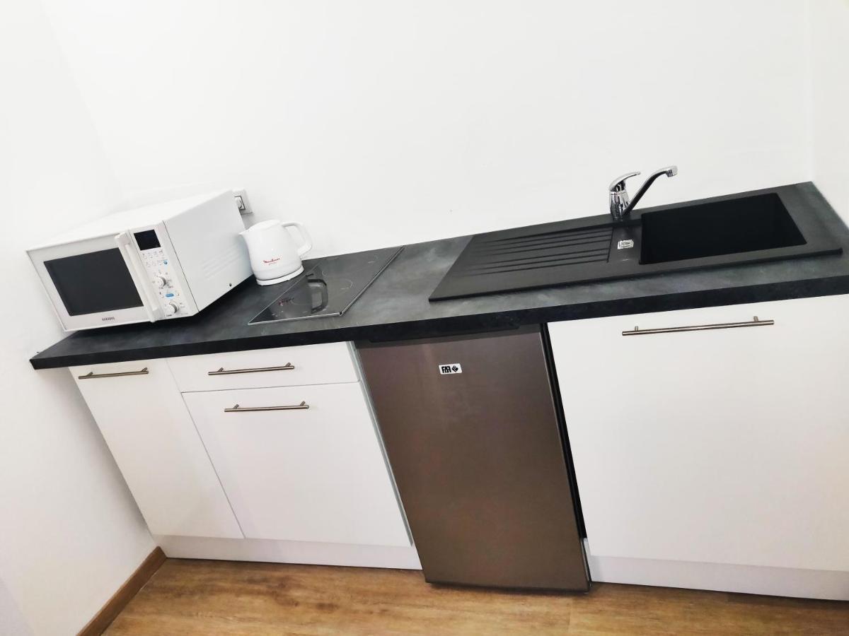 Tres Belle Vue Sur Le Mont Saint-odile, Parking Gratuit Apartment Obernai